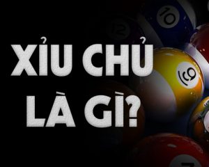 Xỉu chủ là gì, xỉu chủ miền Nam có mấy loại